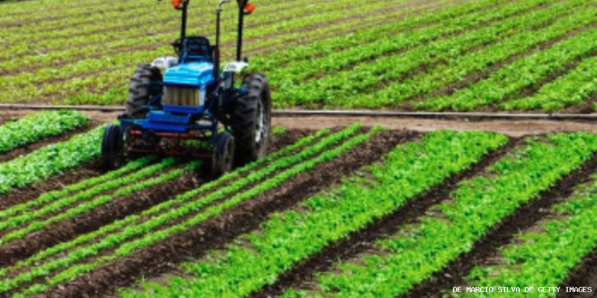 Agriculture - de Marcio Silva de Getty Images La procédure d’adoption de la loi Duplomb est loin d’être satisfaisante d’un point de vue démocratique